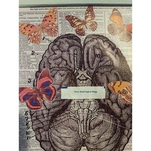 Never Doubt Logical Things Canvas + Vintage Frame